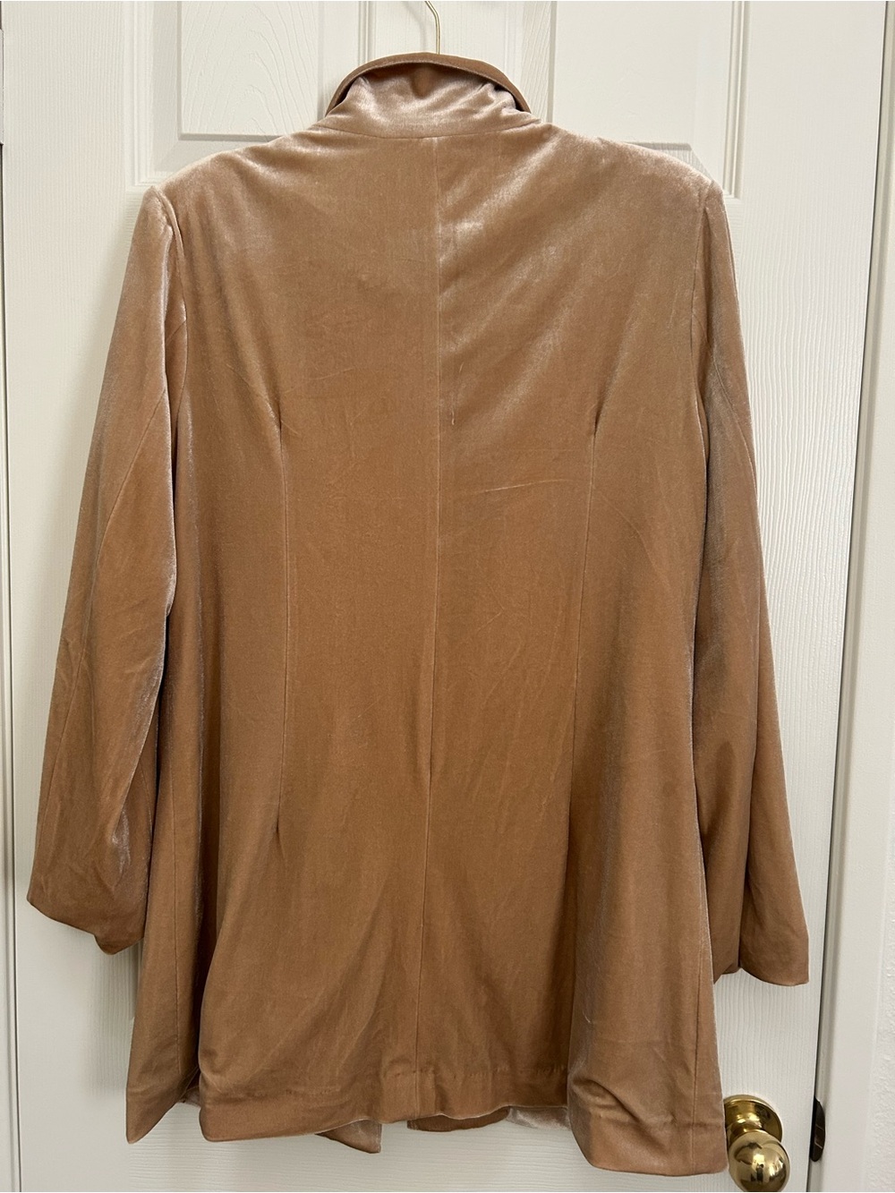 BiBi Champagne Velvet Long Blazer | Size Large - Picture 7 of 8